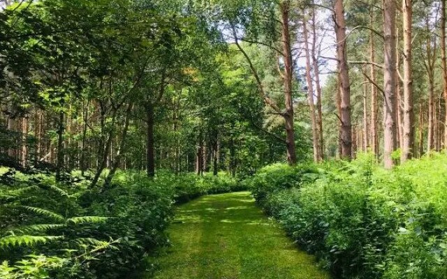 Hollicarrs - Forest Retreat