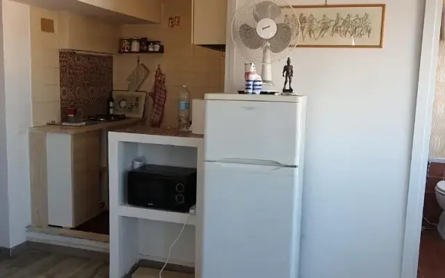 Cat's House