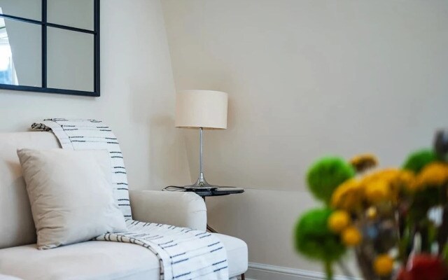 The Paddington Professional - by Out of Office Lifestyle