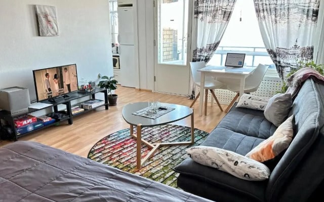 Central Studio Apartment