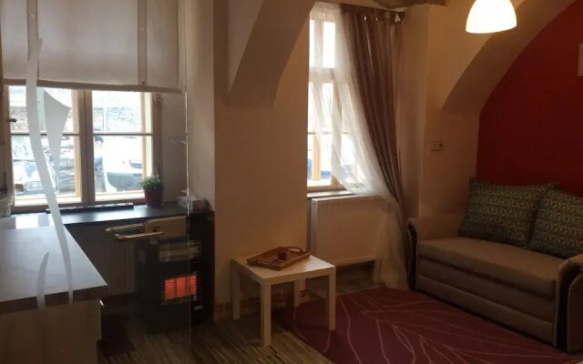 Staré Brno Flat