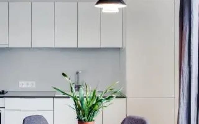 Basanaviciaus apartment