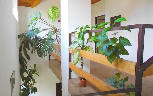 Wellness Penzion Lázně Jablonec