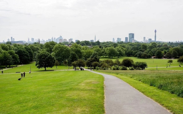 Peaceful in Primrose Hill
