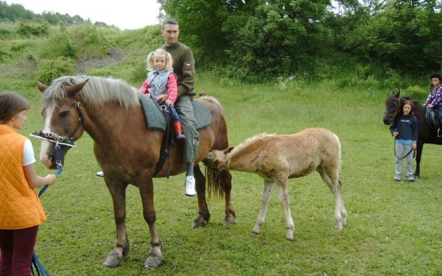 Penzion Selsky Dvur