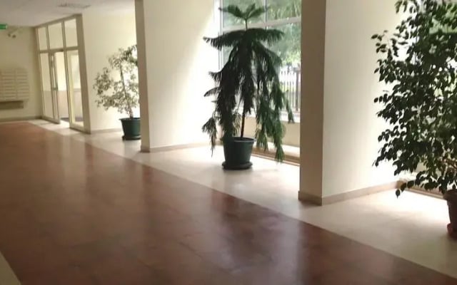 CityCenterApartment