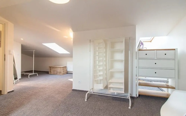 Krizikova Apartment