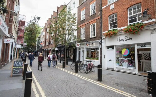Stylish Apartment With Private Rooftop in Covent Garden
