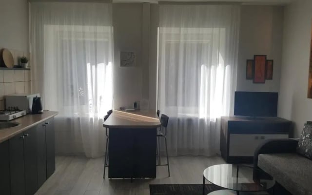 Apartment on Kudirkos 20