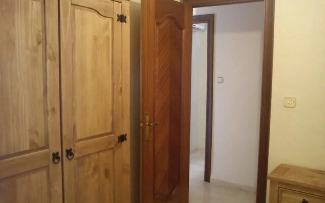 Apartment in Malaga 100580