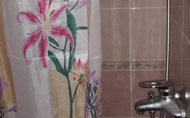 У Романа