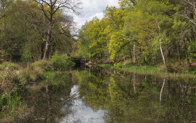 Oakdale at Abingdon Court