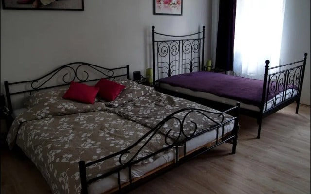 Apartment Krále Jiřího