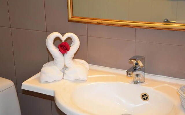 Hotel Metsis
