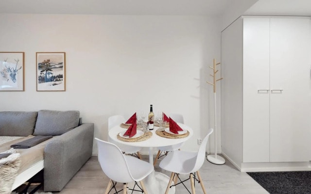Apartment Scandinavia IV