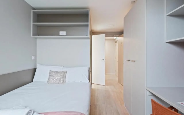 Central Modern 6BR APT With Fast Wifi Sleeps 6