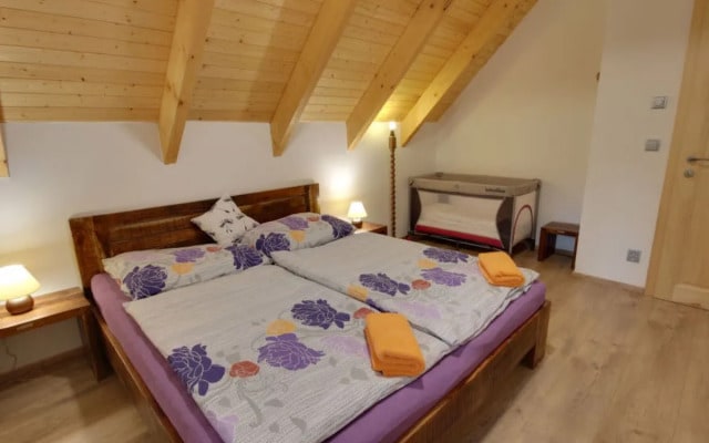 Apartment U Krále Kořenov