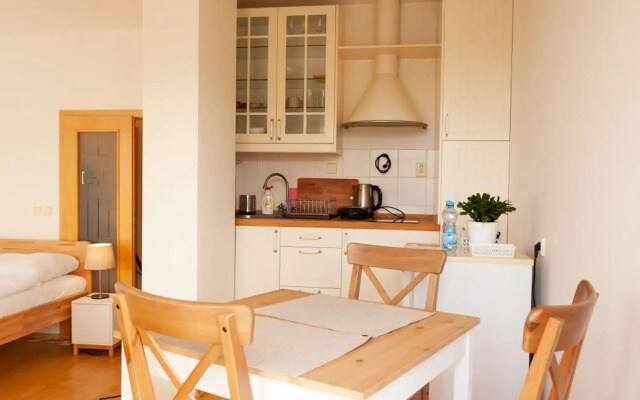 Vitkov Park Apartment