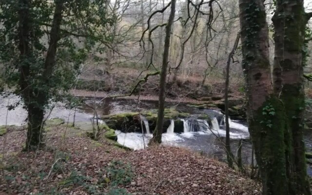 Woodvale Lodge