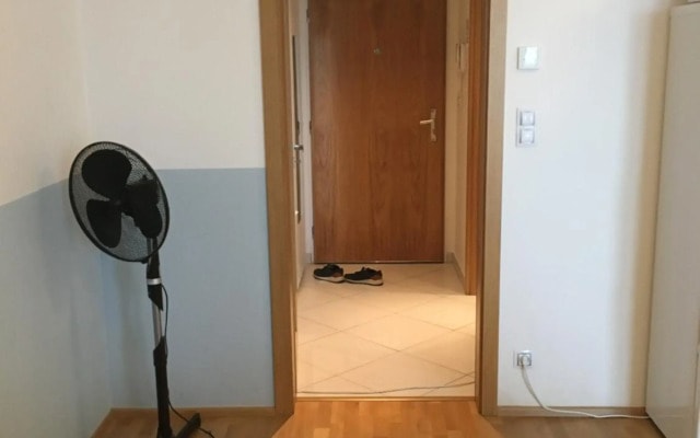 Гарден студия