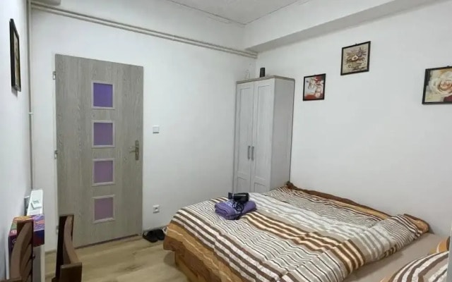 Cozy Studio in Zizkov, Prague
