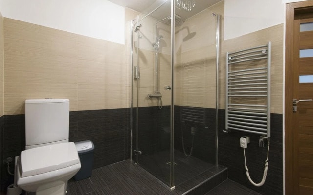 Spacious apartment near Wenceslas Square