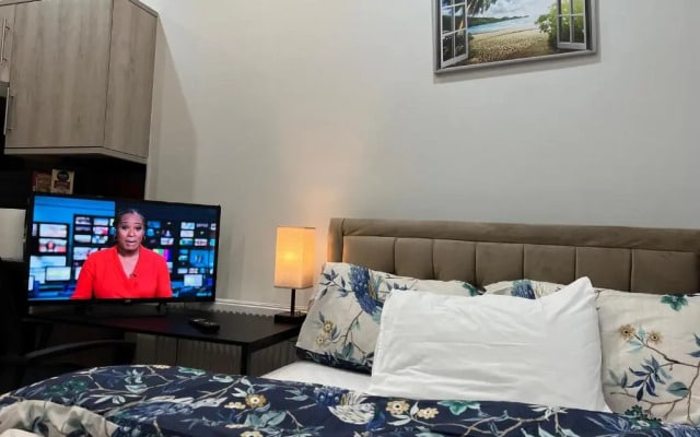 Entire Studio apartment - London
