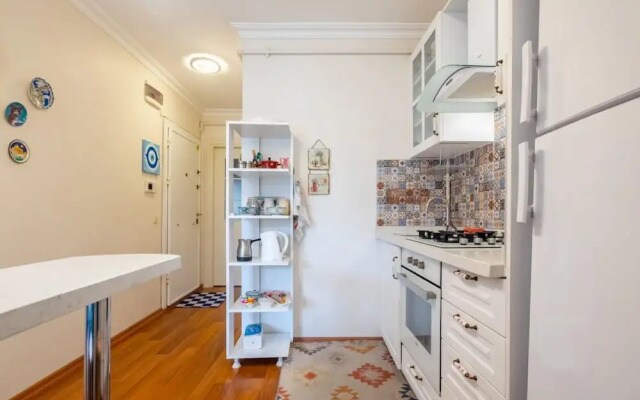 Pleasant Flat With Central Location in Sisli
