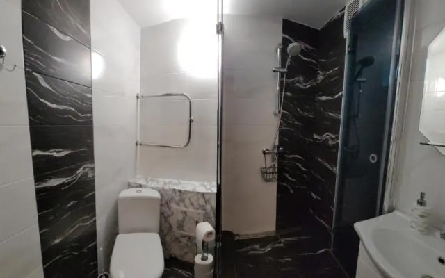 Apartment near the center