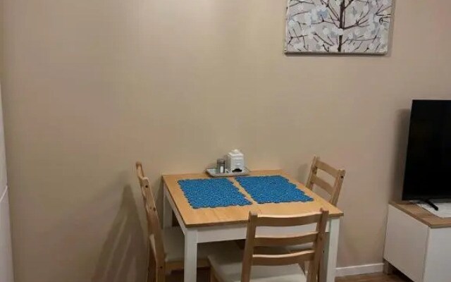 Cozy centre apartament Kuopio