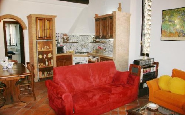 Bonosa 31
