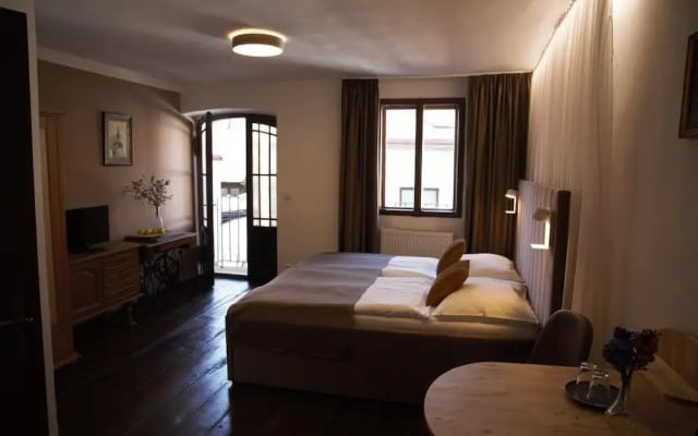 Hotel Svamberský Dum