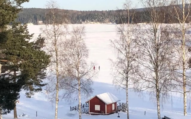 Ellivuori Lake View