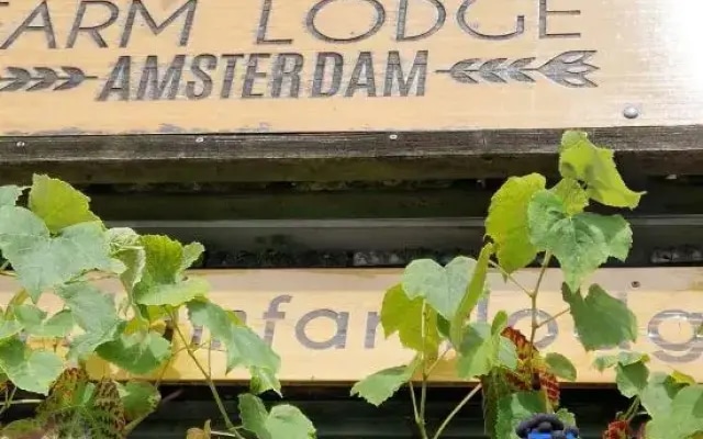Amsterdam Farm Lodge