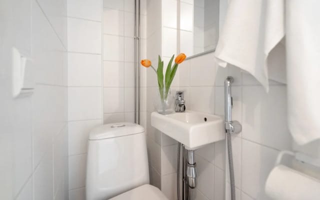 Beautiful cozy studio in Kamppi