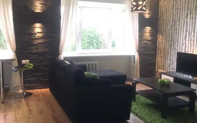 Sunny Studio Apartment