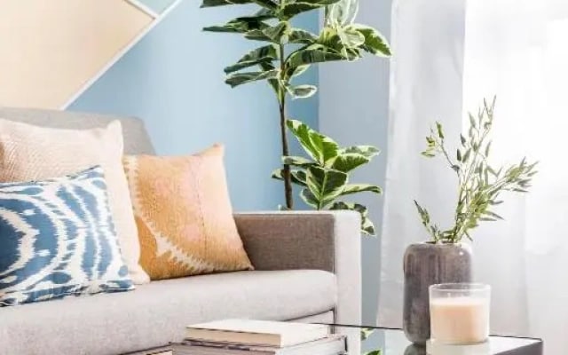 Color Apartments by Olala Homes