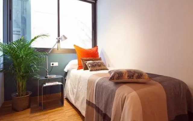 Apartment Barcelona Rentals - Penthouse with Terrace