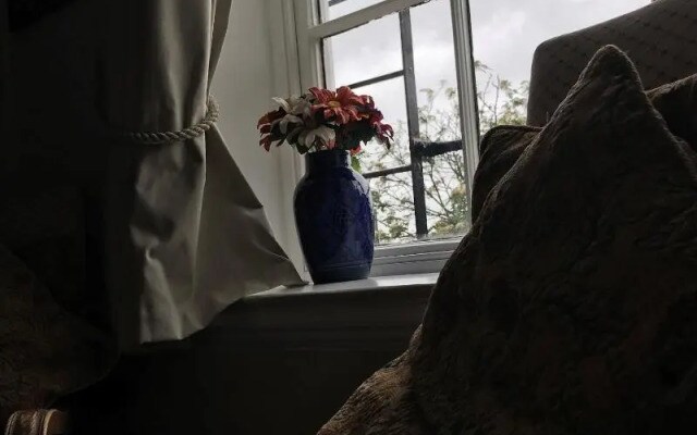 The Exhibition