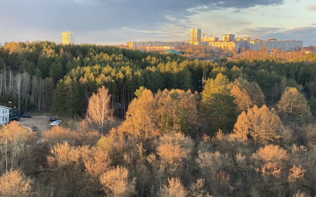 Квартира с видом на лес