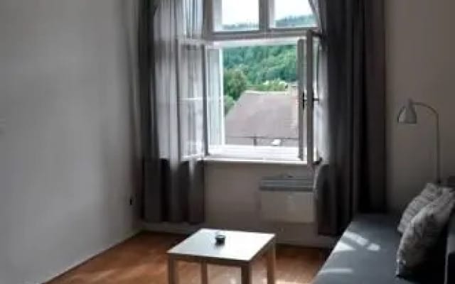 Apartmán u Mlsného medvěda