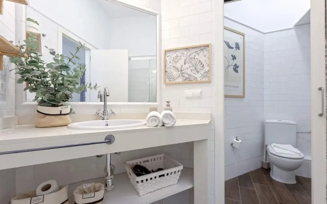 Luxury Apartment in Malaga Larios VI