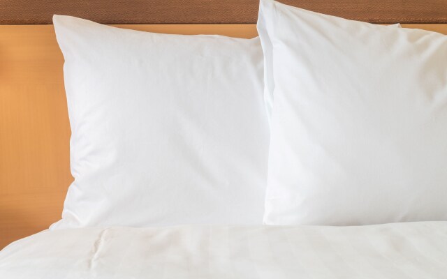 Holiday Inn Express Amsterdam - South by IHG