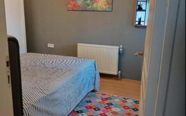 Azad Homes Nadia Cukurcuma