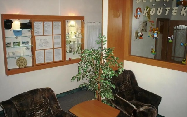 Pension Schaumannuv Dvur