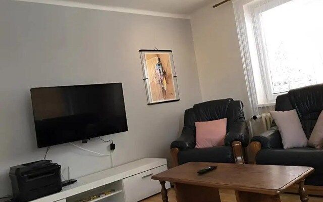 Cozy Apartment in Eastern Bohemia Near Town Center