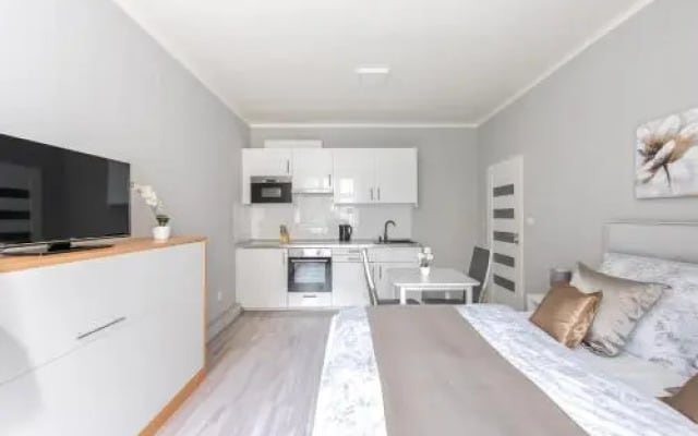 City apartment Slezská