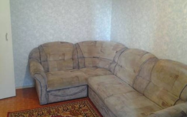 Apartment on Vilskogo