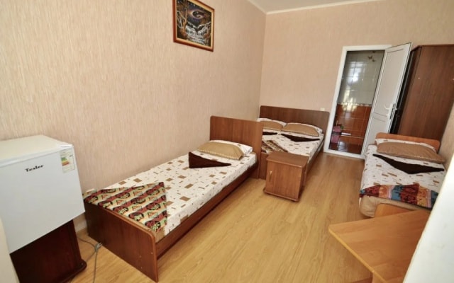 Guest House Baron Diana
