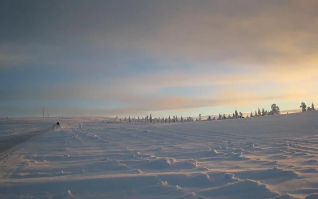 Saariselän Marjamajat
